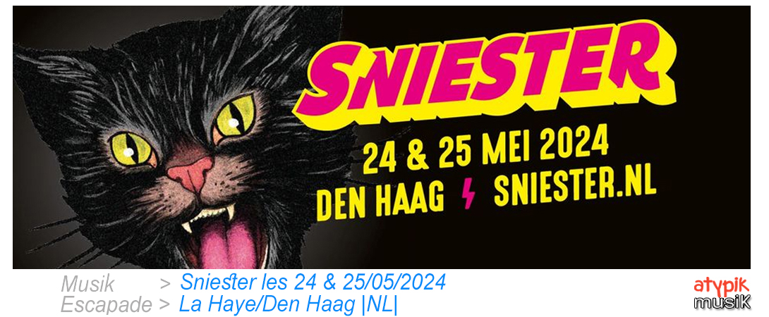 Sniester à La Haye/Den Haag aux Pays-Bas.