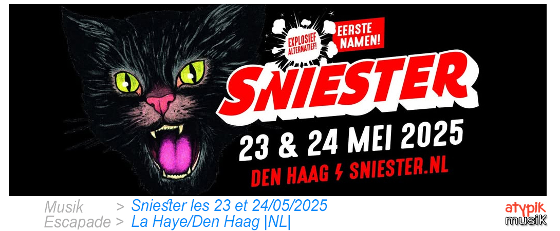 Sniester à La Haye/Den Haag aux Pays-Bas.