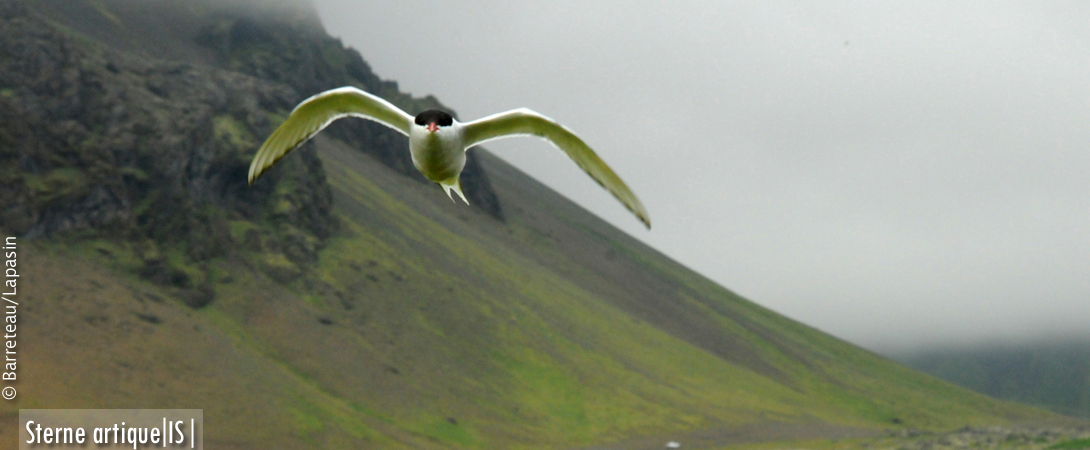 Le climat en Islande.