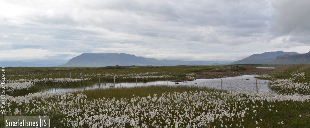 Le climat en Islande.