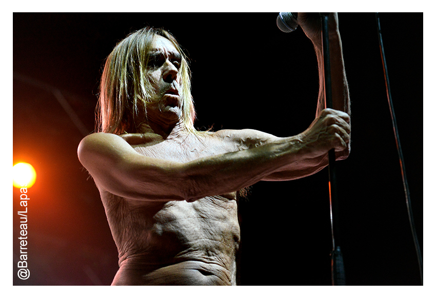 Iggy Pop en concert le 2 juillet 2015 à Asbru/Keflavik en Islande dans le cadre des ATP ICELAND.