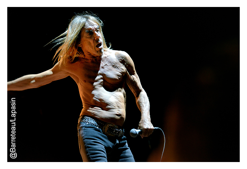 Iggy Pop en concert le 2 juillet 2015 à Asbru/Keflavik en Islande dans le cadre des ATP ICELAND.