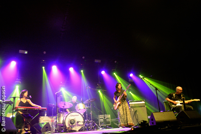 John PARISH en concert le 3 août 2019 à l'Absolutely Free Festival à Genk en Belgique.