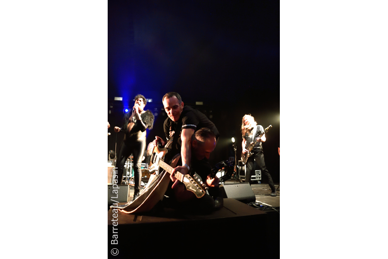 Les photos de KING KHAN AND THE SHRINES en concert le 5 août 2017 à l'Absolutely Free Festival à Genk |B|
