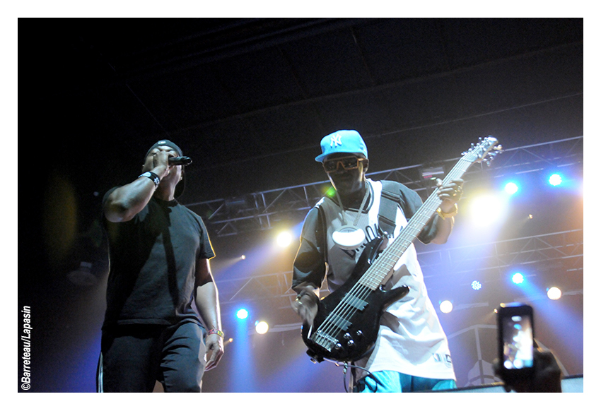 Les photos de PUBLIC ENEMY en concert le 02/07/2015 aux ATP Iceland.