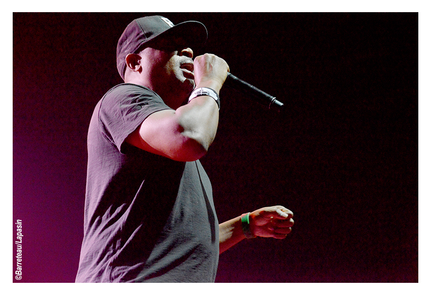 Les photos de PUBLIC ENEMY en concert le 02/07/2015 aux ATP Iceland.