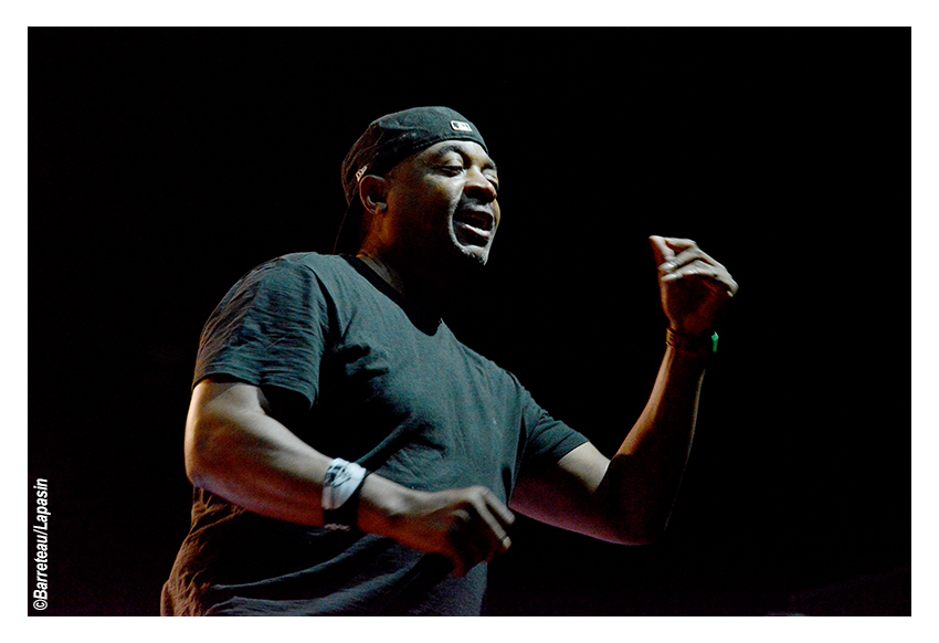 Les photos de PUBLIC ENEMY en concert le 02/07/2015 aux ATP Iceland.