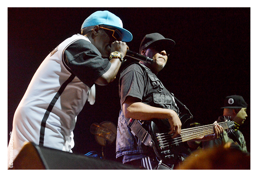 Les photos de PUBLIC ENEMY en concert le 02/07/2015 aux ATP Iceland.