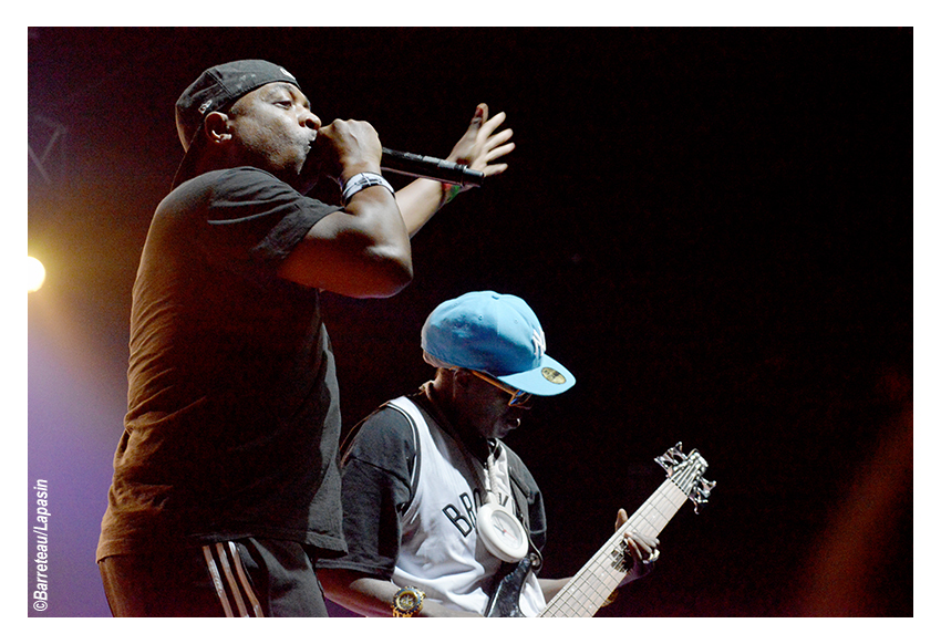 Les photos de PUBLIC ENEMY en concert le 02/07/2015 aux ATP Iceland.