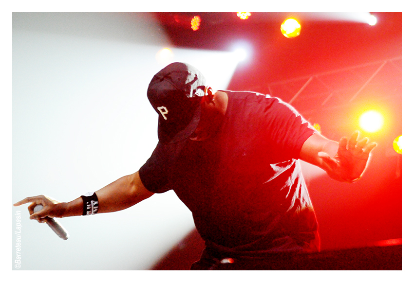 Les photos de PUBLIC ENEMY en concert le 02/07/2015 aux ATP Iceland.