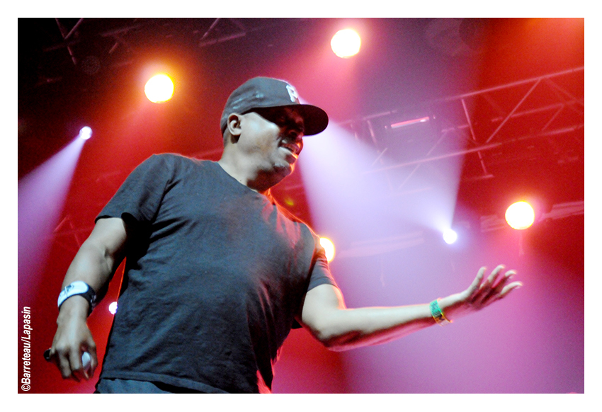 Les photos de PUBLIC ENEMY en concert le 02/07/2015 aux ATP Iceland.