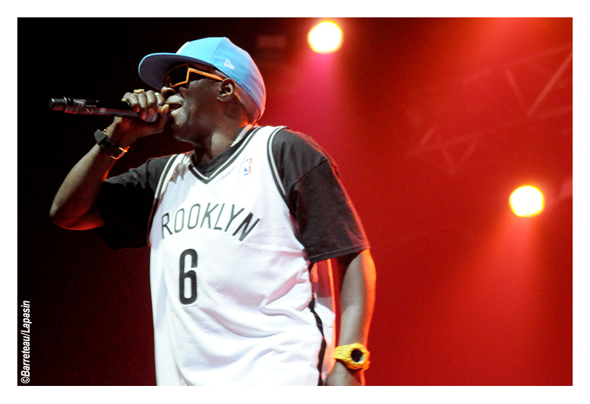 Les photos de PUBLIC ENEMY en concert le 02/07/2015 aux ATP Iceland.