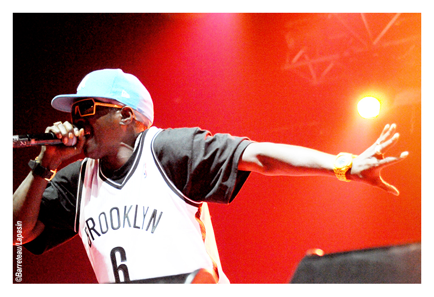 Les photos de PUBLIC ENEMY en concert le 02/07/2015 aux ATP Iceland.