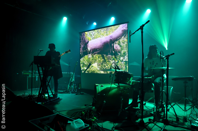 The Holydrug Couple en concert le 8 septembre 2017 au Strawberry Fest à Villeneuve d'Ascq en France.