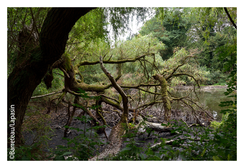 Le Rivierenhof et l'Openluchttheater à Deurne/Anvers/Antwerpen en Belgique.