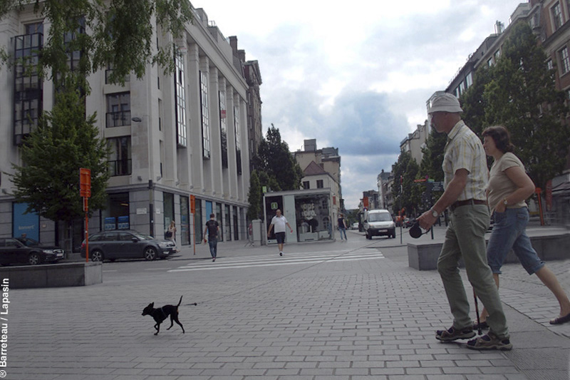 Une balade à Courtrai/Kortrijk au sud de la Belgique.