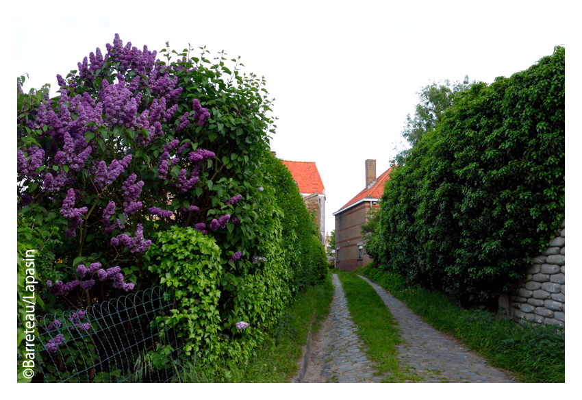 Une balade en photos dans Diksmuide en Belgique.