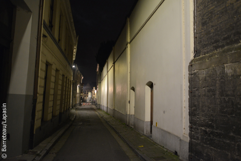 Quelques photos de Gand/Gent la nuit.