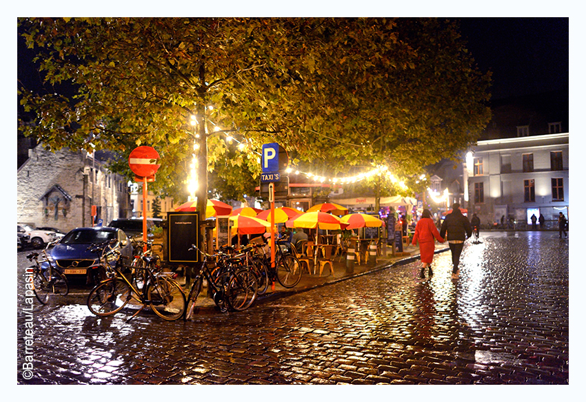 Quelques photos de Gand/Gent la nuit.