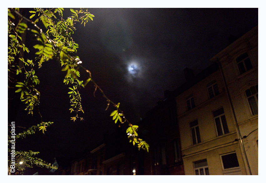 Quelques photos de Gand/Gent la nuit.