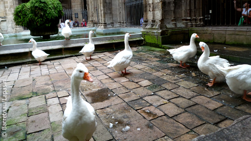 Une balade en photos à Barcelone