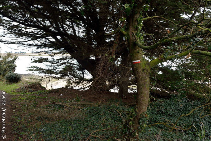 Les photos de la plage de la Touesse et de la maison de Colette à Saint-Coulomb près de Saint-Malo.