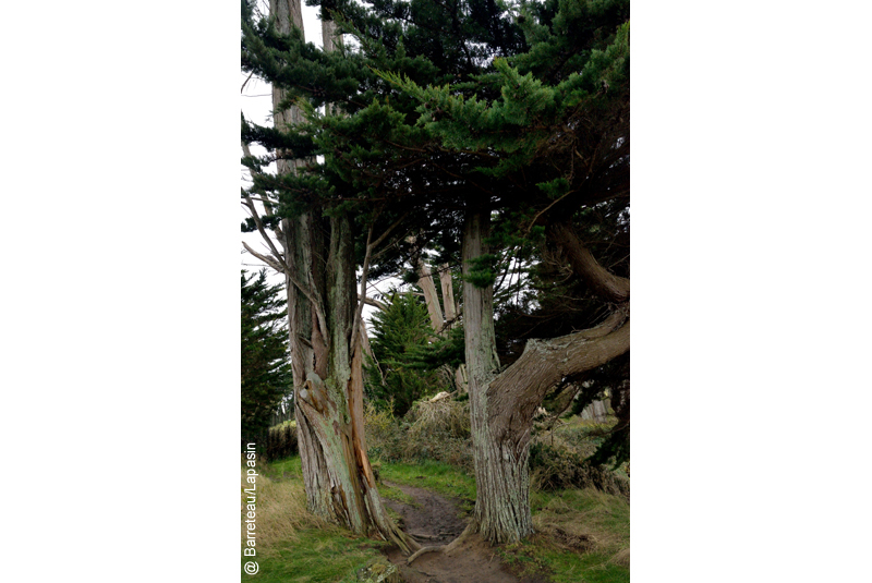 Les photos du sentier des douaniers à gauche de la plage des Chevrets à Saint-Coulomb près de Saint-Malo.