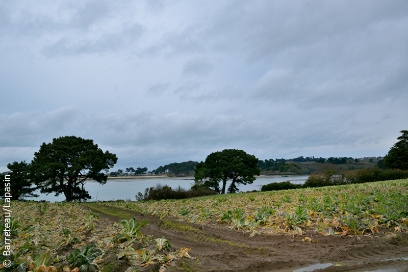 Les photos du sentier des douaniers à gauche de la plage des Chevrets à Saint-Coulomb près de Saint-Malo.