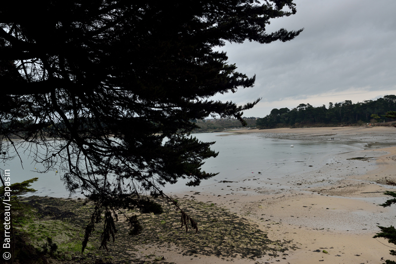 Les photos du sentier des douaniers à gauche de la plage des Chevrets à Saint-Coulomb près de Saint-Malo.