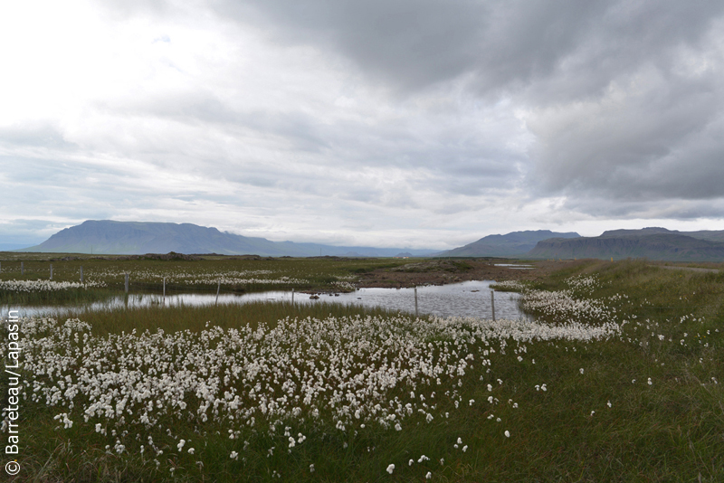 Les photos du Cercle d'Or en Islande