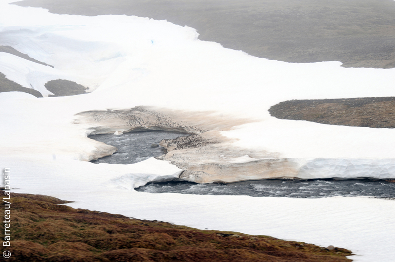 Les photos Drangsnes à Kaldalon en Islande