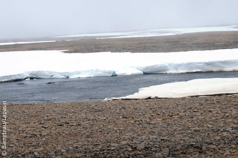 Les photos Drangsnes à Kaldalon en Islande