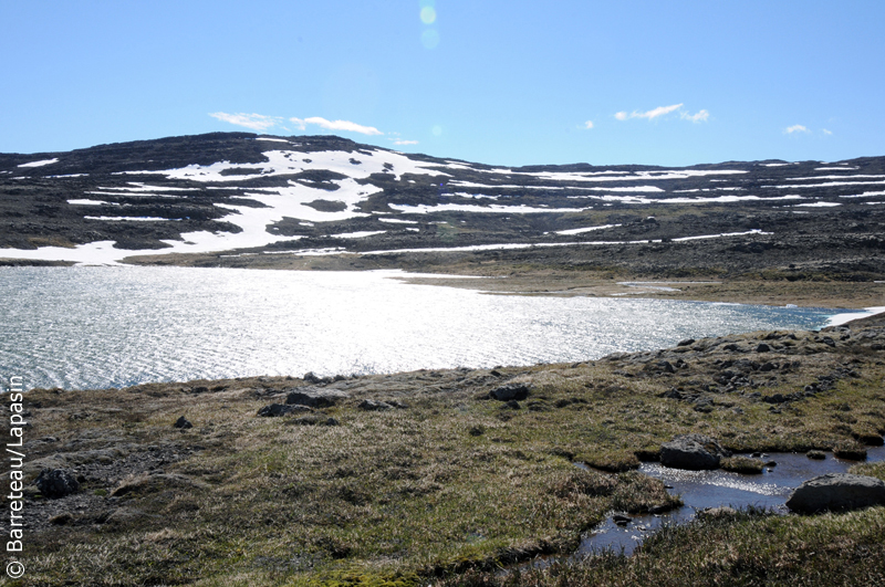 Les photos de Dynjandi à Flokalundur en Islande