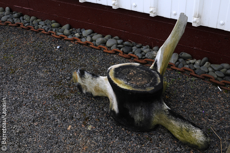 Les photos de Reykholt à Hvalfjörður