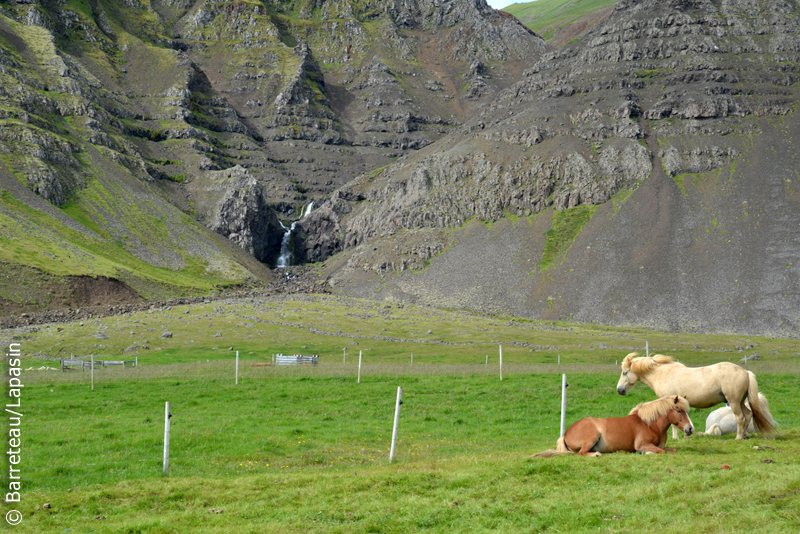 Les photos de Reykholt à Hvalfjörður