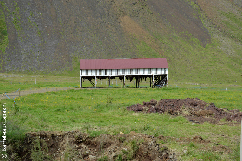 Les photos de Reykholt à Hvalfjörður