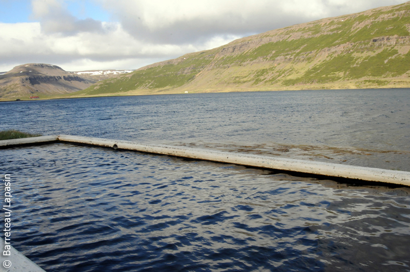 Les photos des fjords de l'Ouest, Isafjordup et Mjoifjordur, en Islande