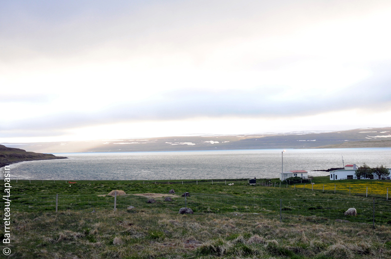 Les photos des fjords de l'Ouest, Isafjordup et Mjoifjordur, en Islande