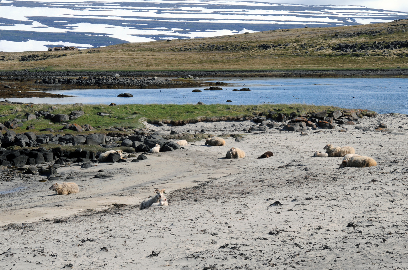 Les photos de Kaldalon à Isafjodur en Island