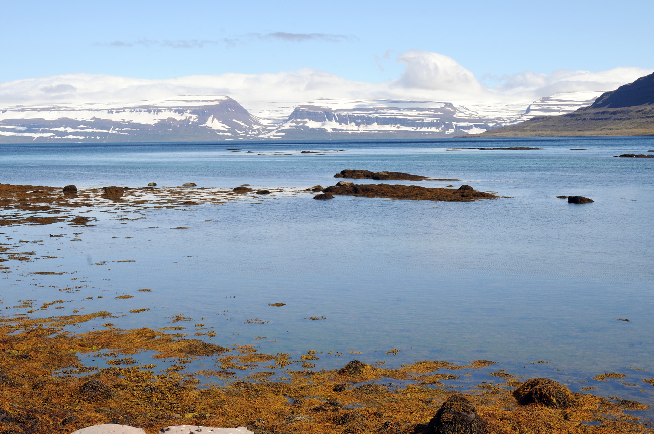 Les photos de Kaldalon à Isafjodur en Island