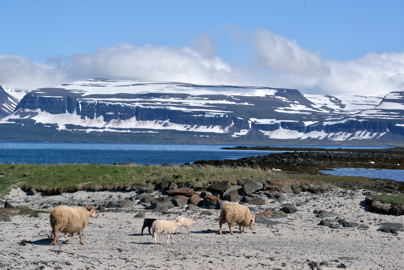 Les photos de Kaldalon à Isafjodur en Island