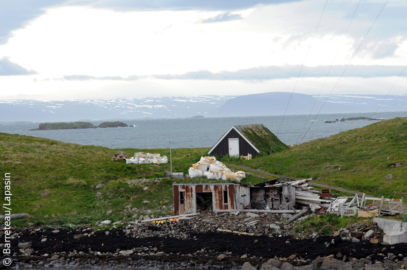 Les photos de Krosslaug à Flatey en Islande