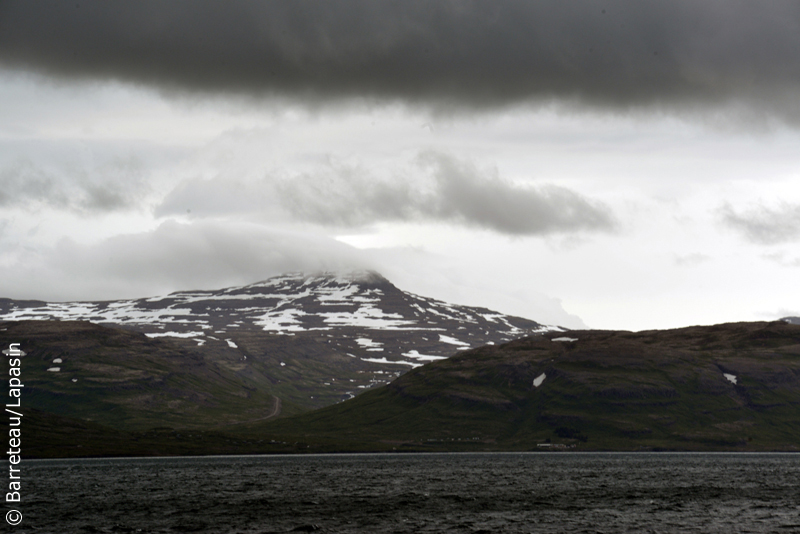 Les photos de Krosslaug à Flatey en Islande