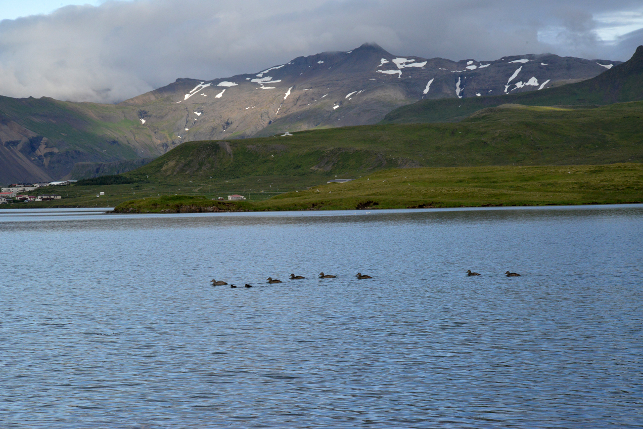 Les photos d'Olafsvik à Stykkisholmur