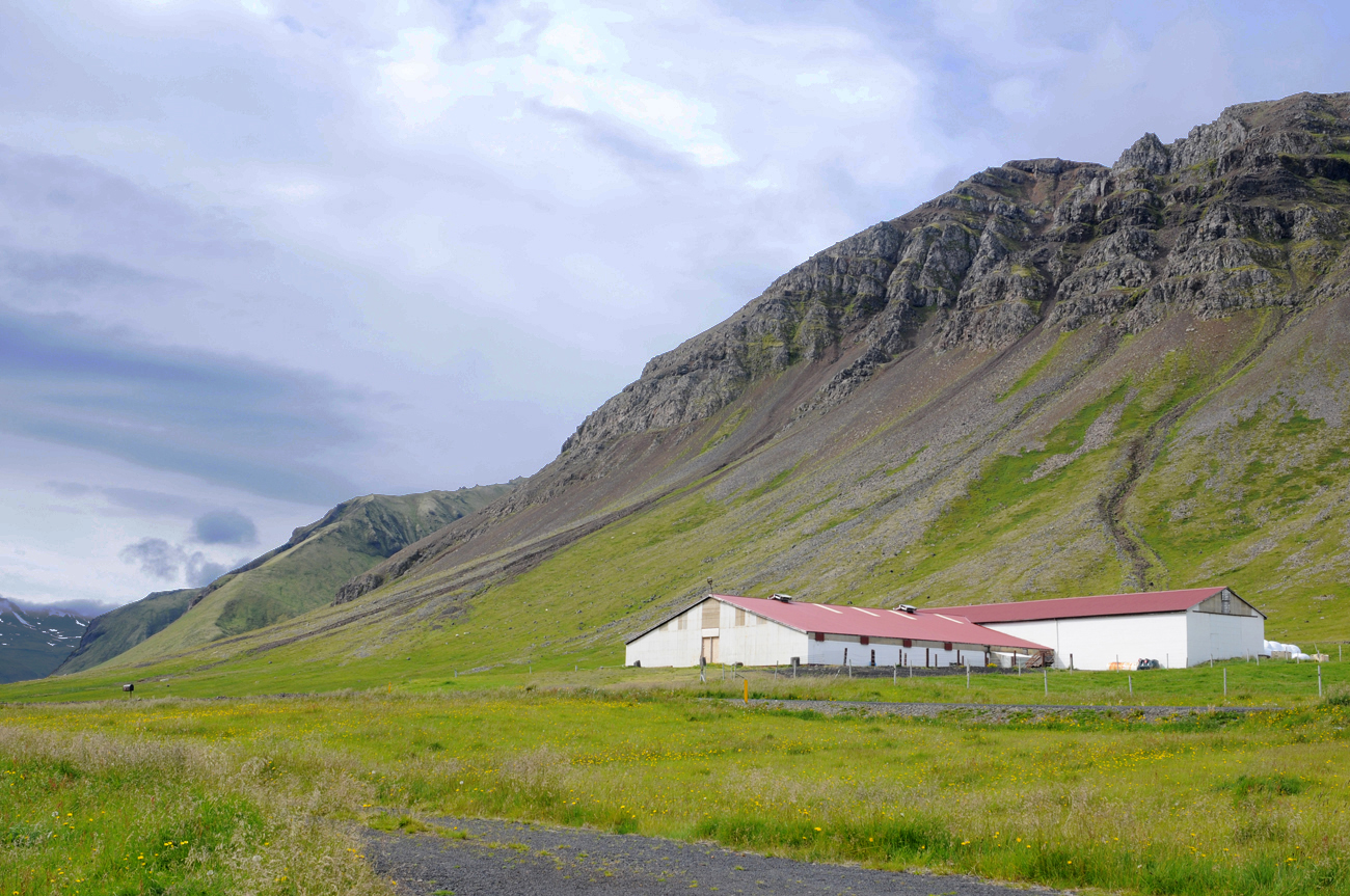 Les photos d'Olafsvik à Stykkisholmur