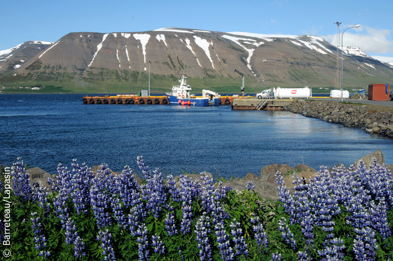 Les photos de Pingeyri à Dynjandi en Islande