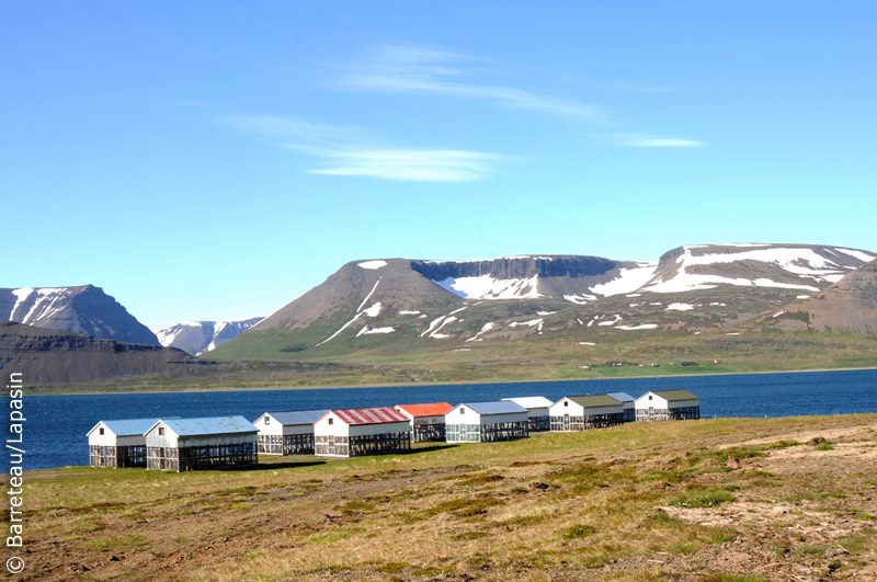 Les photos de Pingeyri à Dynjandi en Islande