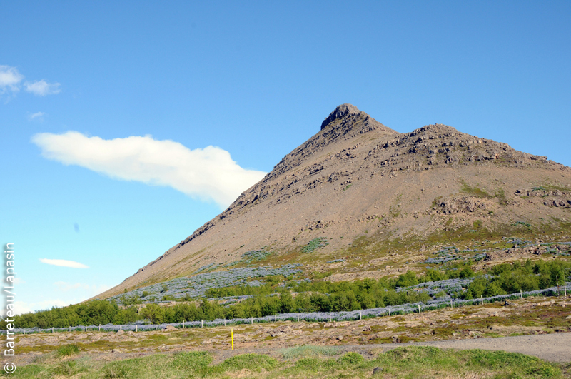 Les photos de Pingeyri à Dynjandi en Islande