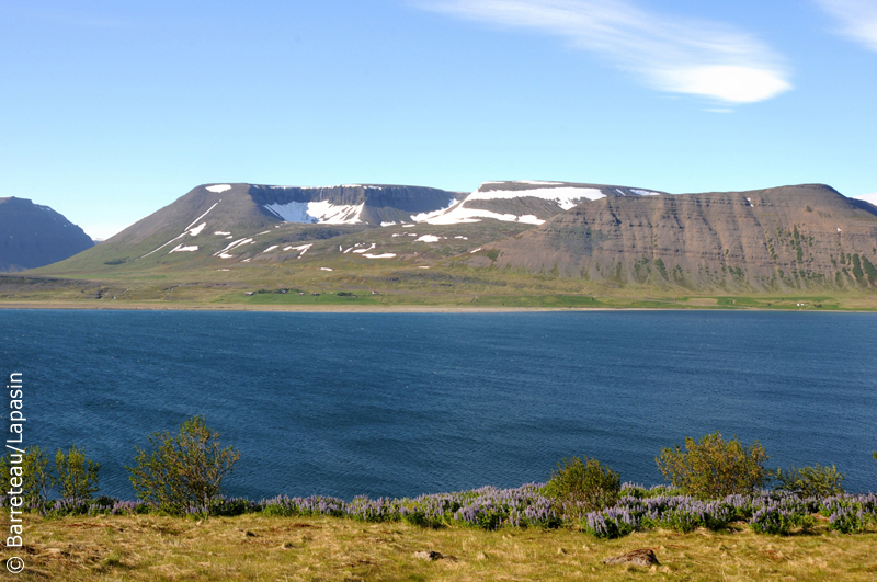 Les photos de Pingeyri à Dynjandi en Islande