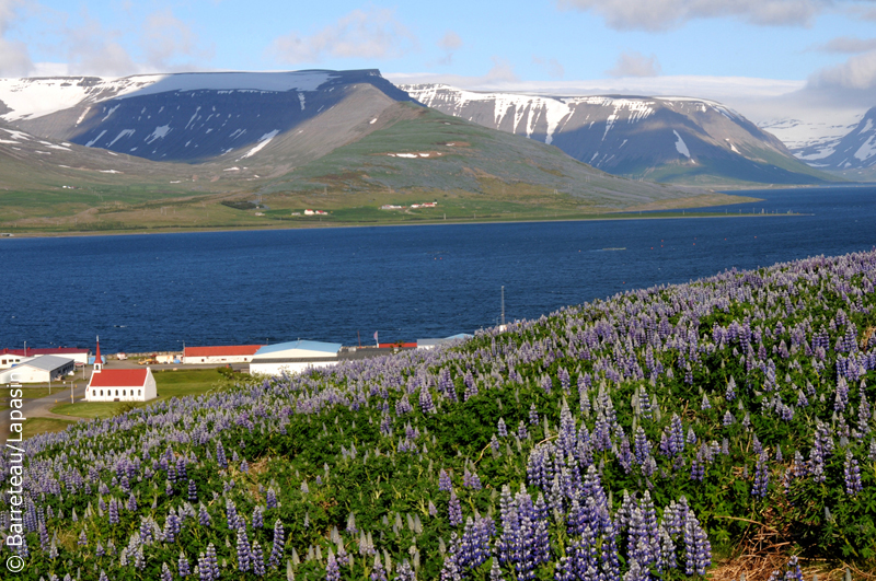 Les photos de Pingeyri à Dynjandi en Islande